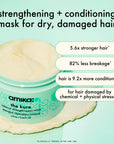 Amika The Kure Mask